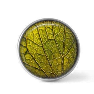 Bouton / Cabochon pour bijoux interchangeables- feuille verte