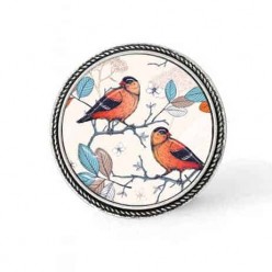 Bouton - cabochon en forme de Cadre en 30mm pour collier interchangeable : thème oiseaux massala et turquoise