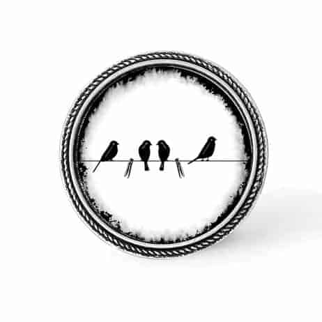 Bouton - cabochon en forme de Cadre en 30mm pour collier interchangeable : thème oiseaux sur le fil noir et blanc