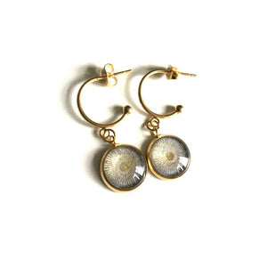 12mm "C" hoop earrings in gold stainless steel with a sun theme